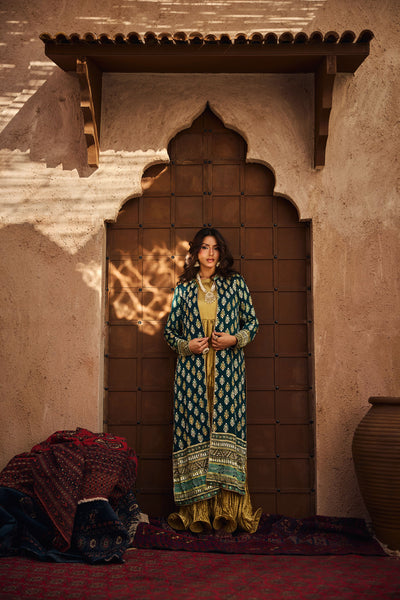 green emerald velvet dress Formal Pakistani Dresses In White Color Designer Online 2021  Nameera by  Farooq