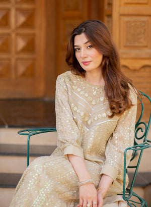 long kameez dress pakistani